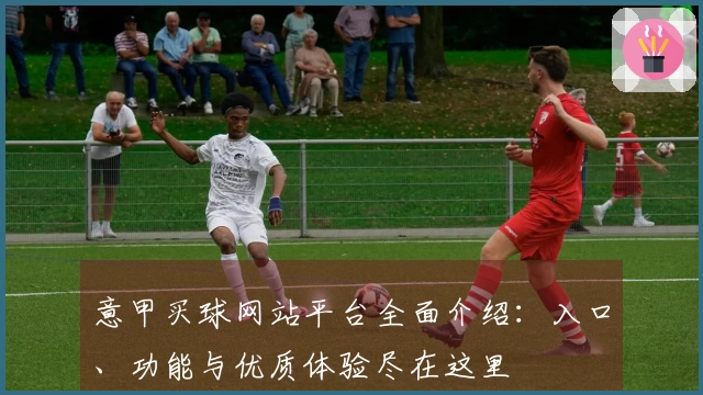 意甲买球网站平台全面介绍：入口、功能与优质体验尽在这里