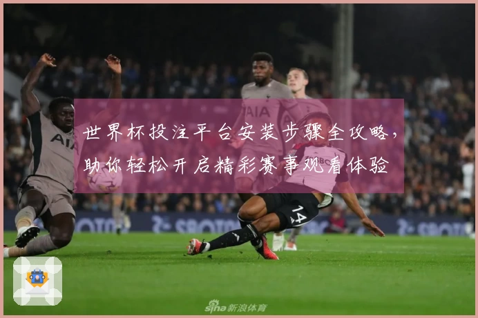 世界杯投注平台安装步骤全攻略，助你轻松开启精彩赛事观看体验