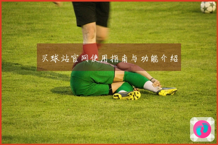 买球站官网使用指南与功能介绍